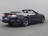 Ford Mustang GT Cabrio V8 California Special/Magne - Ford Mustang: Special
