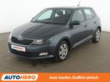 Skoda Fabia 1.0 TSI Ambition*TEMPO*PDC*SHZ*KLIMA* - Skoda Fabia: 1.0