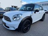 MINI COOPER Countryman Cooper*Panorama*Navi*Leder* - MINI MINI: Weiß, Countryman