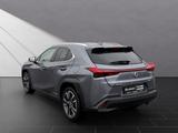 Lexus UX 250 h*STYLE*CARPLAY*PDC*15 JAHRE GARANTIE - Lexus aus 2021