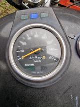 Suzuki LS 650 Savage - SUZUKI CHOPPER LS 650