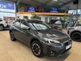 Subaru XV Exclusive - Subaru XV aus 2021