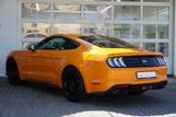 Ford Mustang 2.3 EcoBoost LED Navi Kamera Leder ACC - Ford: Sportwagen, Ka