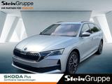 Skoda Octavia Combi 2.0 TDI Selection DSG Matrix ACC - Skoda Octavia Jahreswagen mit Diesel-Antrieb: Kombi