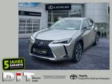 Lexus UX 250 h Style Edition - Lexus UX in München