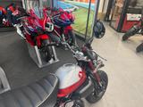 Honda Monkey 125 *Service und TÜV neu - HONDA KLEINKRAFTRAD