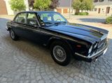 Jaguar Daimler Double Six - Jaguar Daimler Gebrauchtwagen
