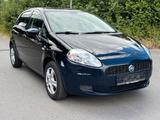 Fiat Punto 1.4 8V Dynamic TÜV,KLIMA,EFH,ALLWETTER - Fiat Punto in Frankfurt (Main)