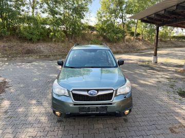 Subaru Forester - 3