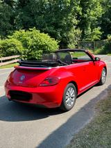 Volkswagen New Beetle - Volkswagen New Beetle: Cabrio