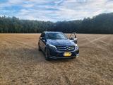 Mercedes-Benz Mercedes Benz GLE 350 AMG 4Matic - Mercedes-Benz GLE 350 in Bochum