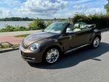 Volkswagen Beetle Cabrio Sondermodell  70 Automatik... - Volkswagen Beetle: Auto