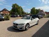 BMW M4 Baureihe M4 Cabrio *TOP*LEDER*VOLL - BMW M4 Gebrauchtwagen