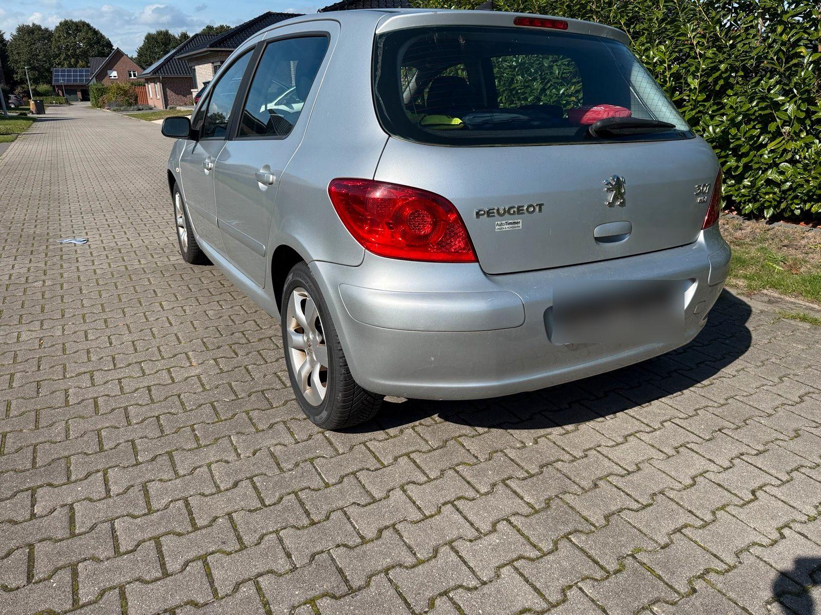 Peugeot 307 2006 — interior