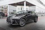 Lexus NX 350h 2025 - Lexus NX 350h SUV