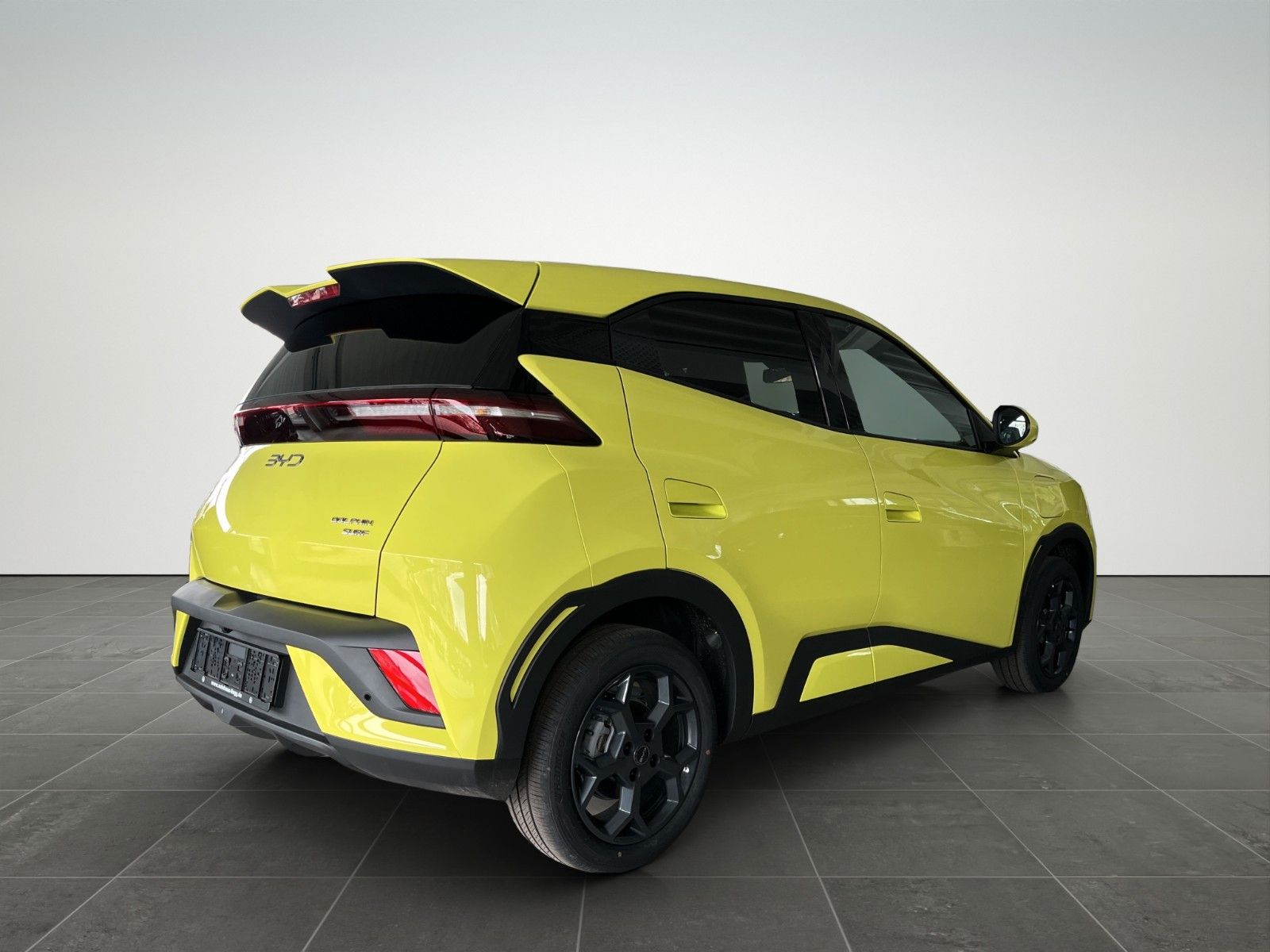 BYD DOLPHIN SURF