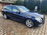 Mercedes-Benz E 350 CDI 4MATIC BlueEFFICIENCY - - Mercedes-Benz E-Klasse: 7 Sitzer