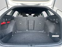 Skoda Octavia - Vorschau Bild 16