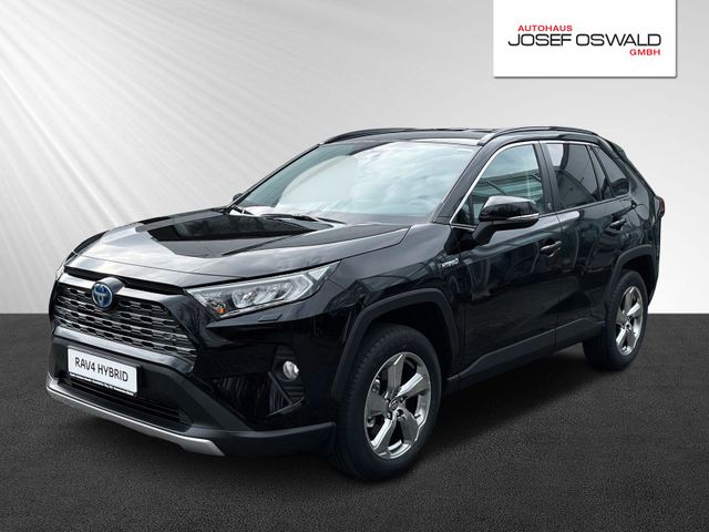 Toyota RAV 4 RAV4 Hybrid 4x4 Team Deutschland