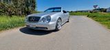 Mercedes-Benz CLK 55 AMG AMG - Mercedes-Benz CLK 55 AMG aus 2001