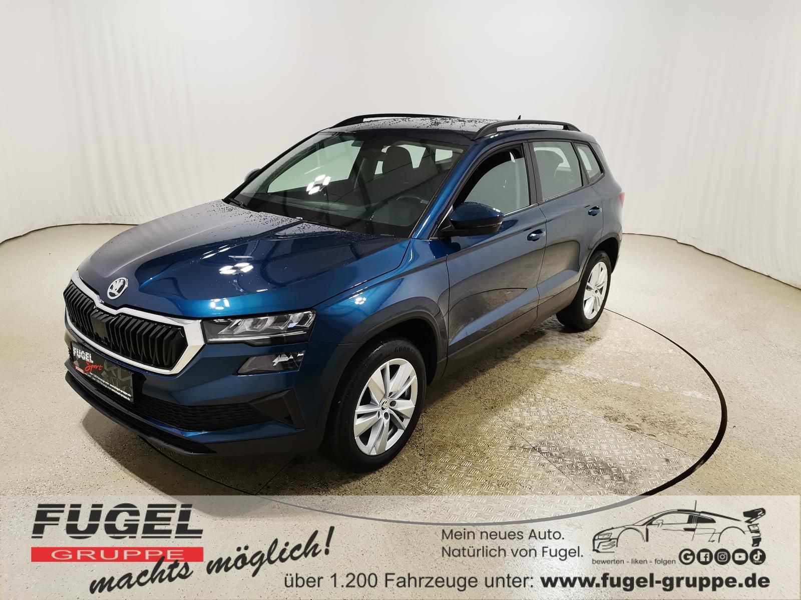 Skoda Karoq 2.0 TDI DSG Ambition Navi|Virt.Cock.|PDC