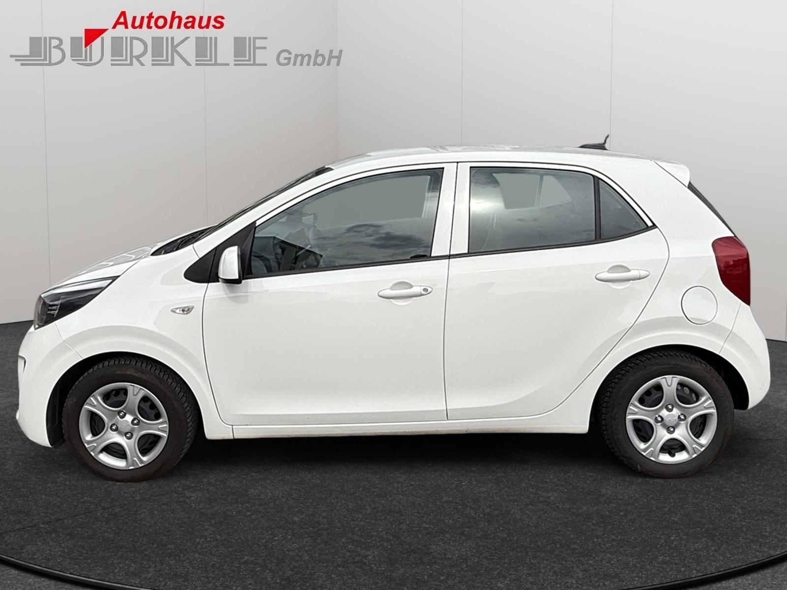 Kia PICANTO+EDITION 7+WEIß+WENIG KM+ALLWETTER