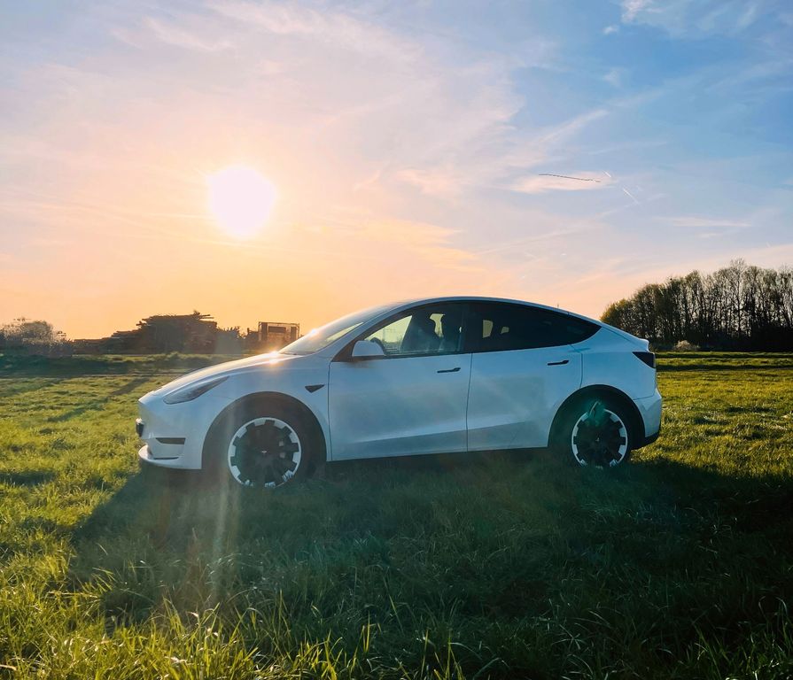 Image of Tesla Model Y