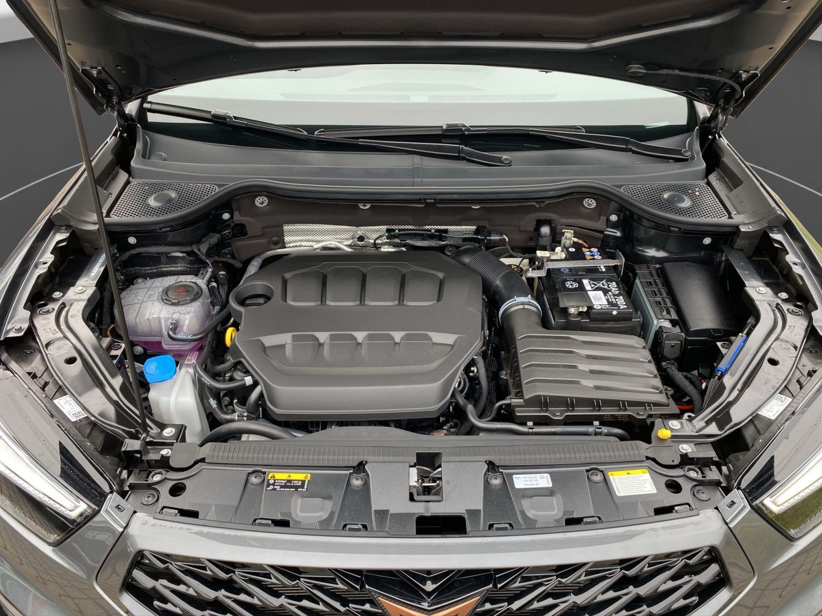 Cupra Ateca - Bild 20