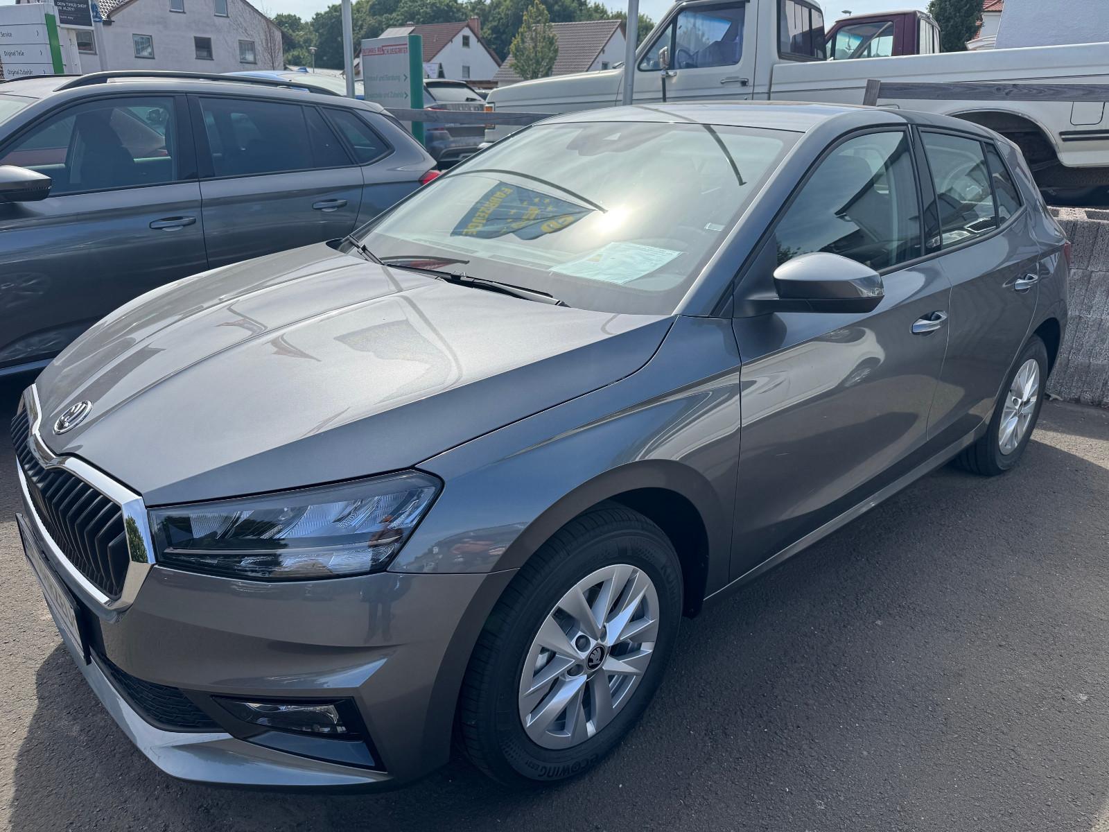 Skoda Fabia  130 JAHRE  GRAU & SCHWARZ