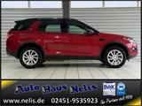 Land Rover Discovery Sport SE AWD D150 Autom. Panorama Lede - Land Rover Discovery Sport Gebrauchtwagen