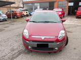 Fiat Punto EVO 1.2 5 porte Dynamic-SI NEOPATENTA - rote Fiat Punto Evo