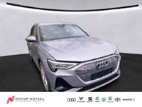 Audi e-tron - Vorschau Bild 1