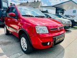 Fiat Panda 1.3 JDT 4x4 Climbing Klimatronic ALU - Fiat Panda mit Diesel-Antrieb