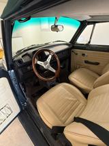 Volkswagen Käfer - Volkswagen Käfer: Grün