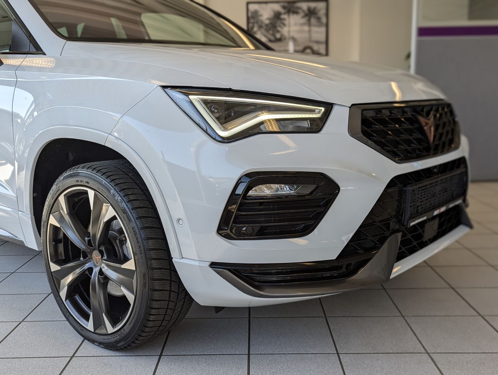 Fahrzeugabbildung CUPRA Ateca 1.5 TSI DSG ACC Winter-Paket Cam AHK 19"