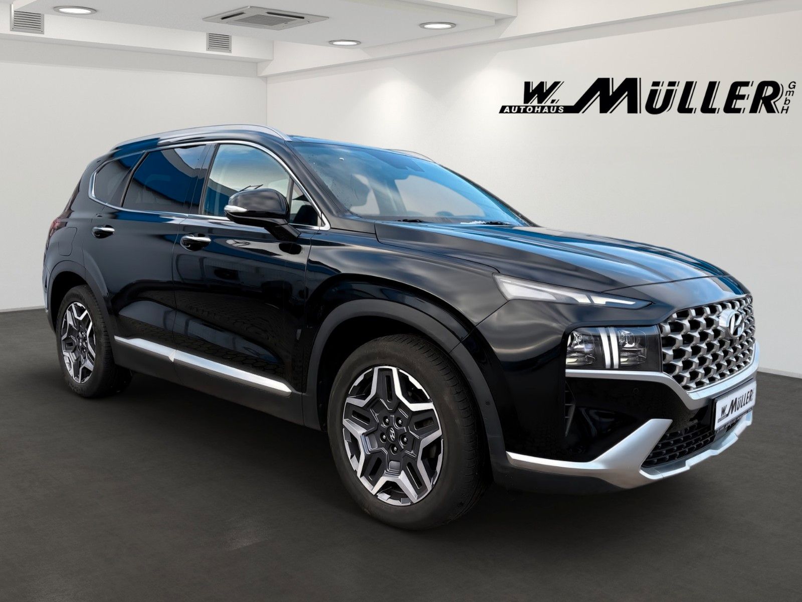 Fahrzeugabbildung Hyundai Santa Fe Prime Plug-In Hybrid Assistenz-Paket