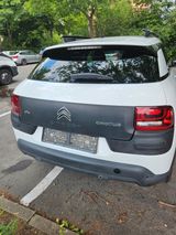 Citroën C4 Cactus BlueHDi 100 S&S Shine Shine Tüv Neu - Citroën C4 Cactus von privat