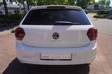 Volkswagen Polo 1.0 United LED Sitzheizung Bluetooth Kamera - Gebrauchtwagen in der Nähe & deutschlandweit