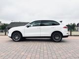 Porsche Cayenne Diesel Platinum Edition BOSE Top Zustand - Porsche Gebrauchtwagen in Salzgitter