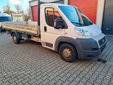 Fiat Ducato Pritsche Klima Lang - Fiat Ducato: Lang