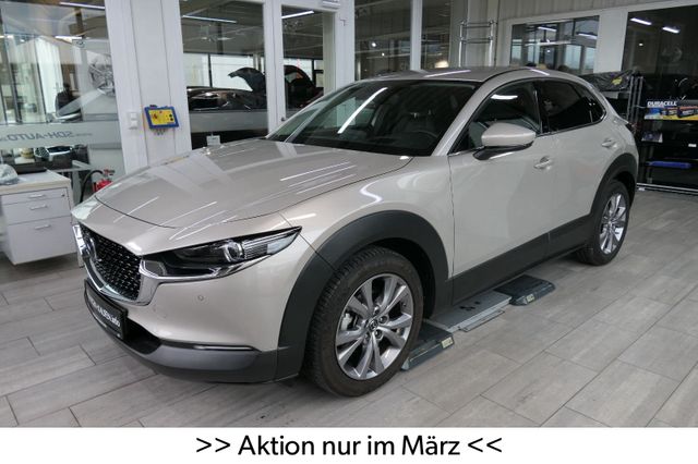 Mazda CX-30 SKYACTIV Centre+Design+Aktion nur im März!