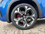 Skoda Kodiaq RS 2.0 TSI 195kW 7-Gang-DSG 4x4 - Skoda Kodiaq mit Benzin-Antrieb: Geländewagen, Automatik