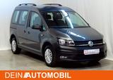 Volkswagen Caddy PKW Trendline BMT**PAULA sucht FAMILIE :-) - : Kombi, Pkw