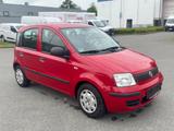 Fiat Panda 1.2 8V Classic - Fiat Panda in Lübeck