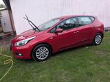 Kia cee'd / Ceed 1.4 CVVT Attract Attract - Kia: Cee D Attract