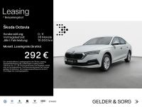 Skoda Octavia - Vorschau Bild 1