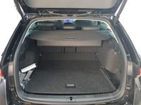Skoda Octavia - Vorschau Bild 7
