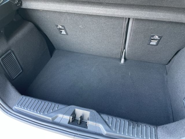 Fahrzeugabbildung Ford Fiesta 1.0 EcoBoost M-Hybrid ST-Line Sitzheizung