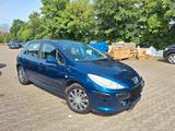 Peugeot 307 Grand Filou Cool - Peugeot 307: Kleinwagen