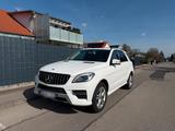 Mercedes-Benz Mercedes ML 350 AMG Blutec - : Mercedes Ml